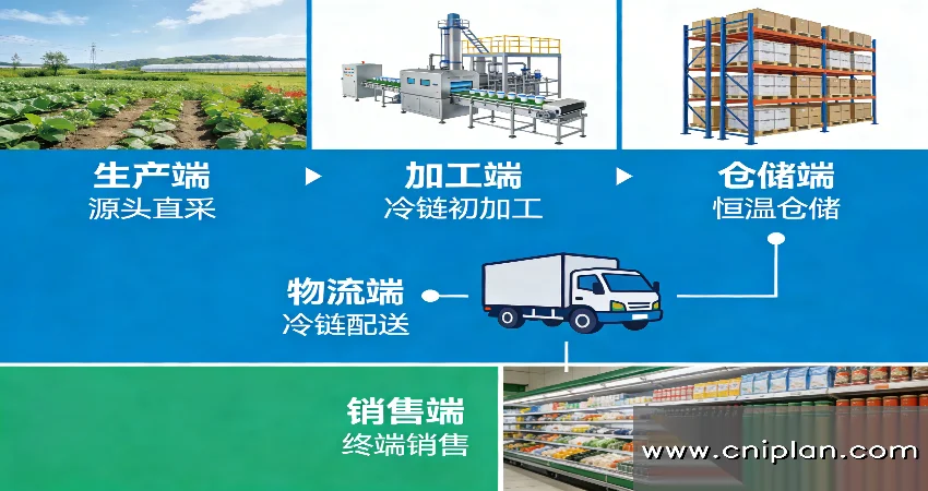 区域农产品供应链规划