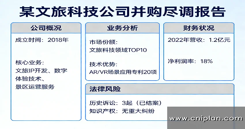 文旅科技公司尽调