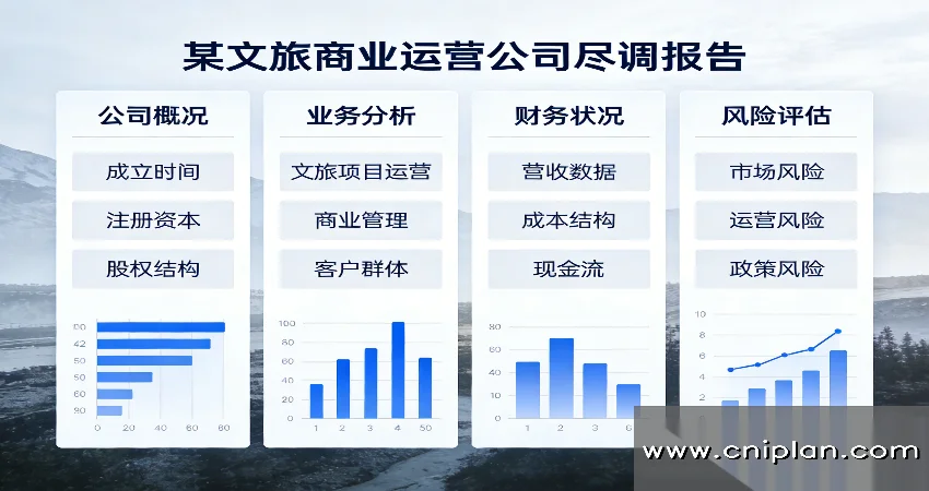 文旅商业运营公司尽调