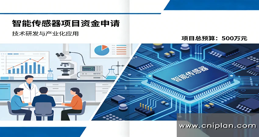 智能传感器项目资金申请