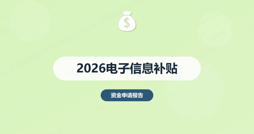 2026 年电子信息行业补贴政策