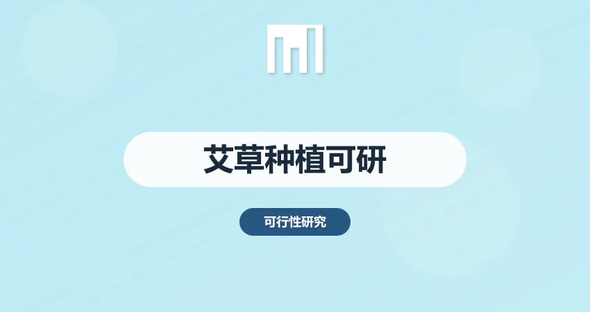 艾草种植可行性研究报告