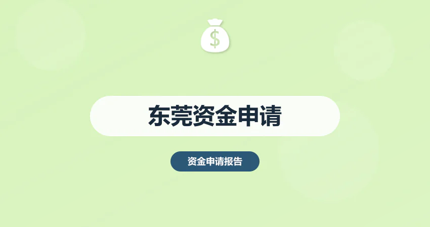 东莞资金申请报告代写