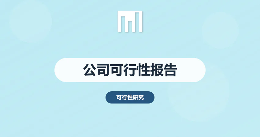 公司可行性报告