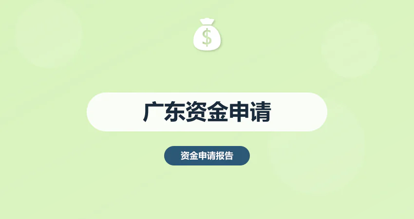 广东资金申请报告代写服务
