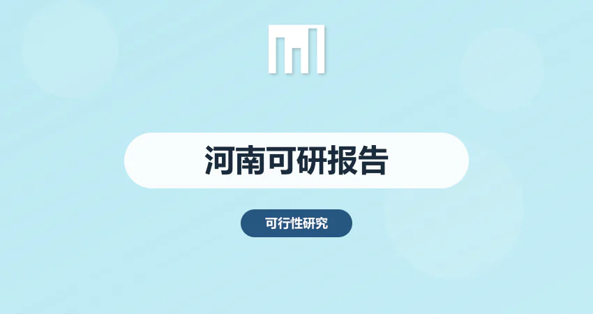 河南可行性研究报告