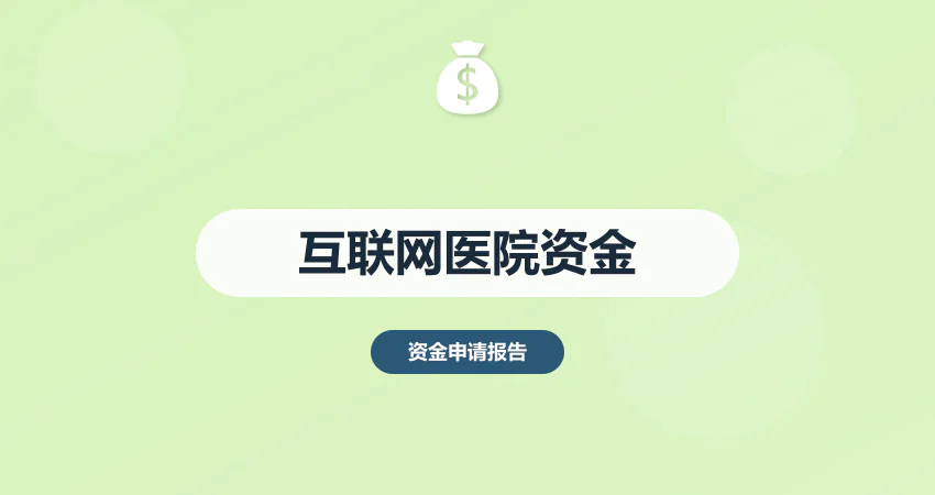 互联网医院项目资金申请报告