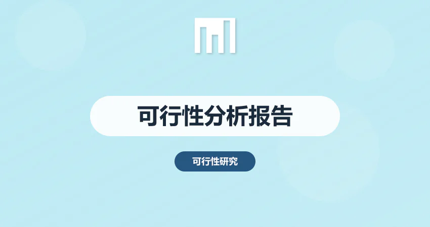 可行性分析报告