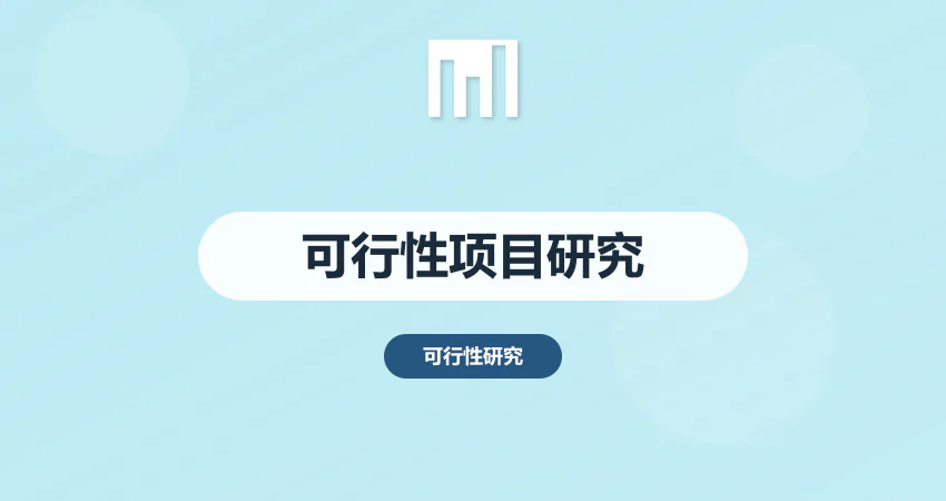 可行性项目研究报告
