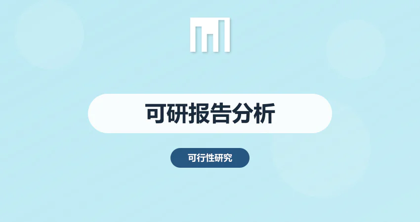 可行性研究报告分析