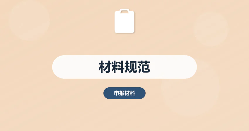 立项材料规范编制服务