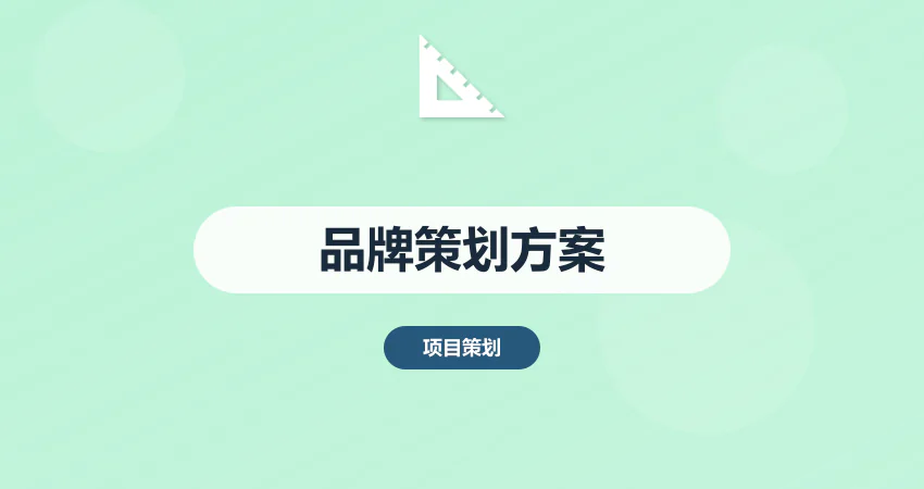 品牌策划方案代写_品牌定位_推广方案