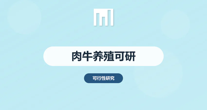 肉牛养殖可行性报告