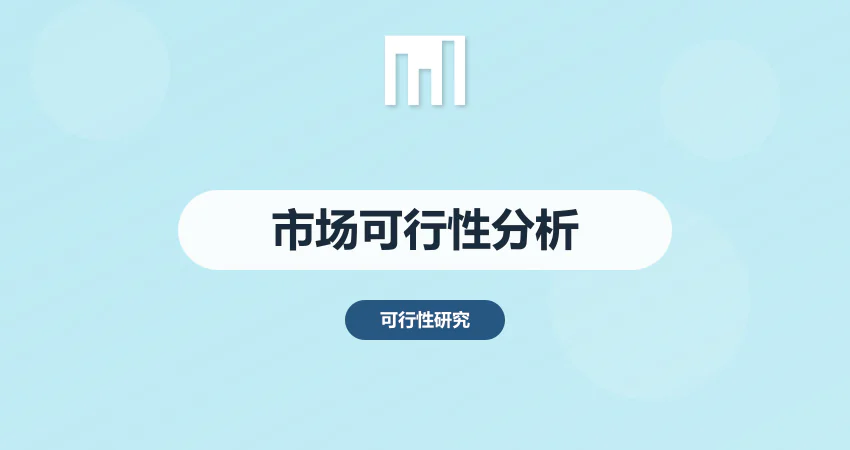 市场可行性分析报告