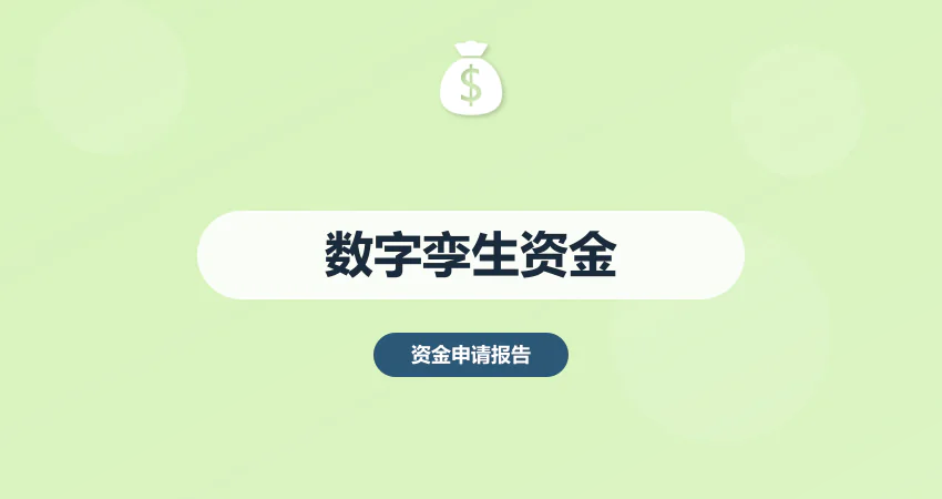 数字孪生项目资金申请
