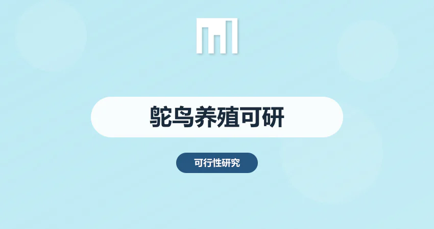 鸵鸟养殖可行性报告