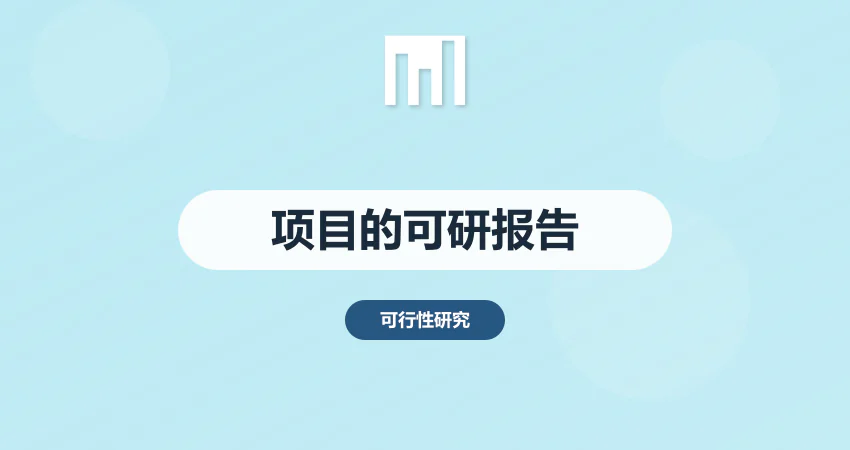 项目的可行性研究报告