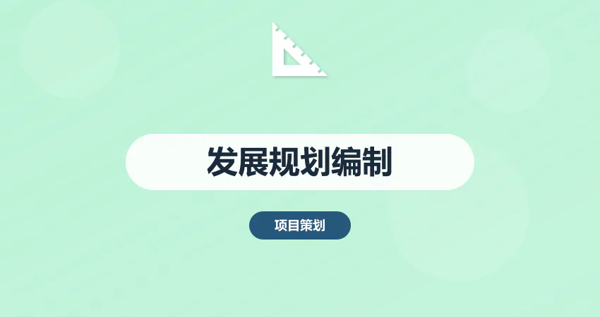 项目发展规划方案编制服务