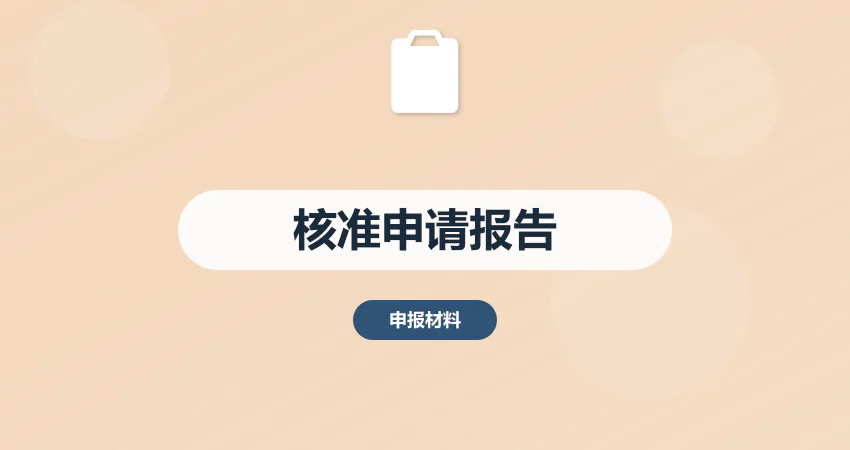 项目核准用申请报告代写