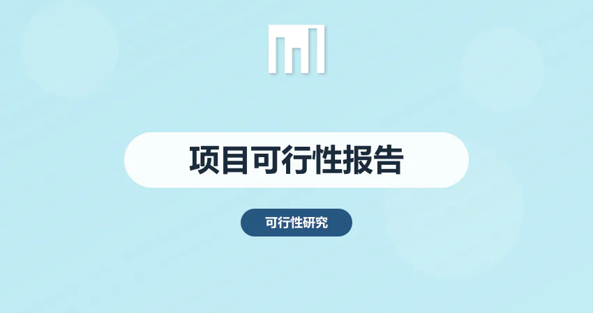 项目可行性报告