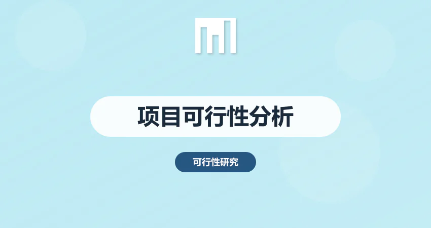 项目可行性分析报告