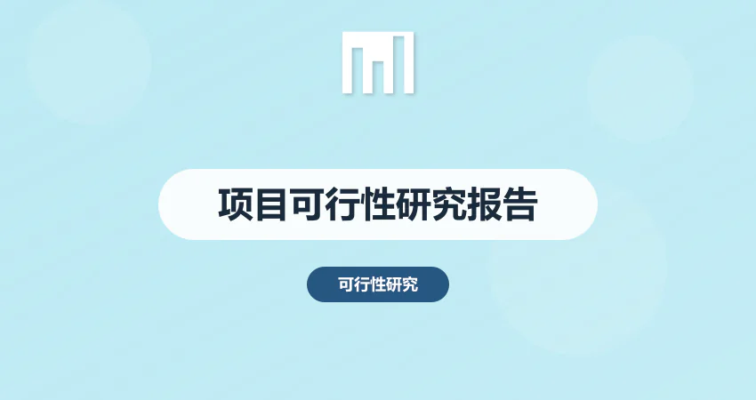 项目可行性研究报告