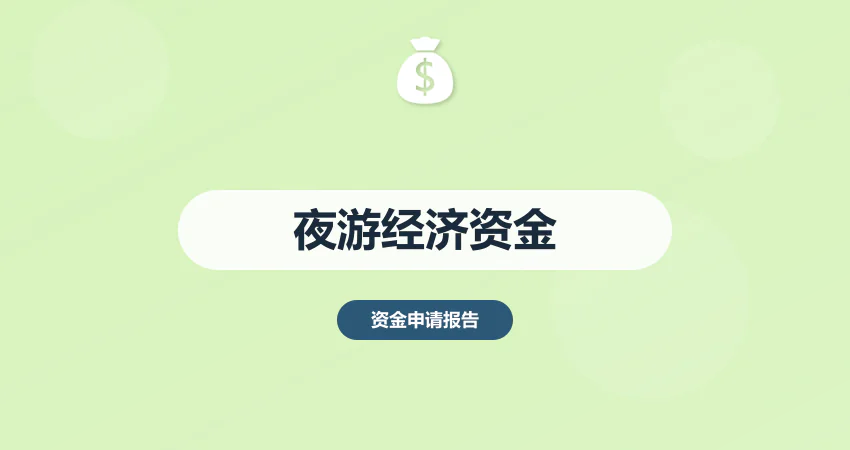 夜游经济项目资金申请报告