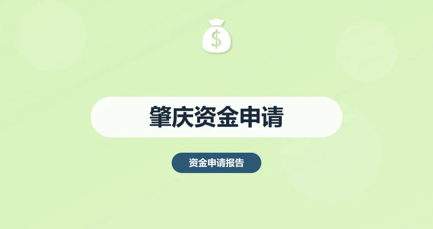 肇庆资金申请报告代写