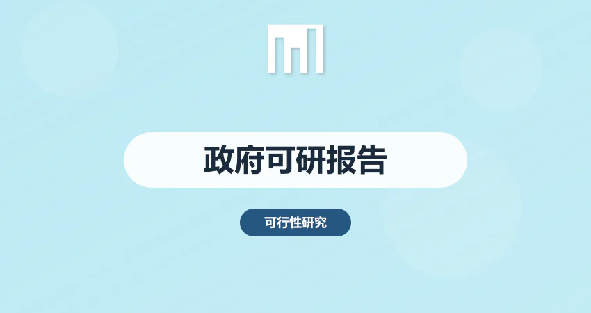 政府可行性报告