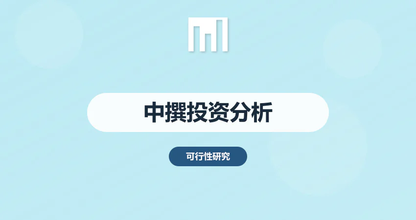 中撰咨询投资分析报告
