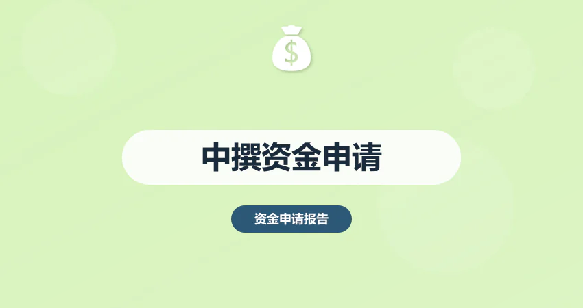 中撰咨询资金申请报告代写