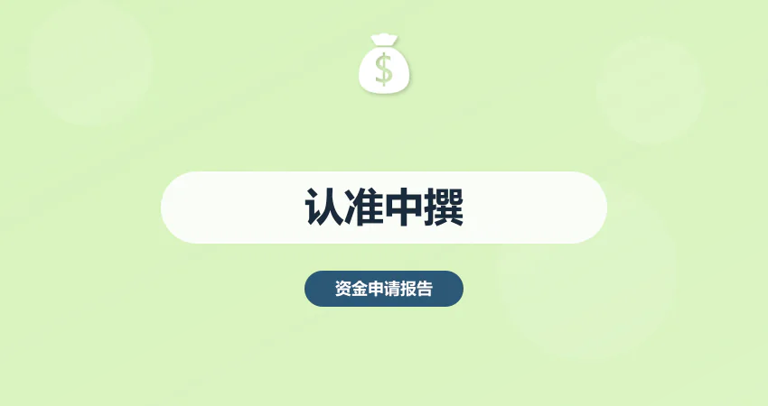 资金申请报告代写认准中撰咨询